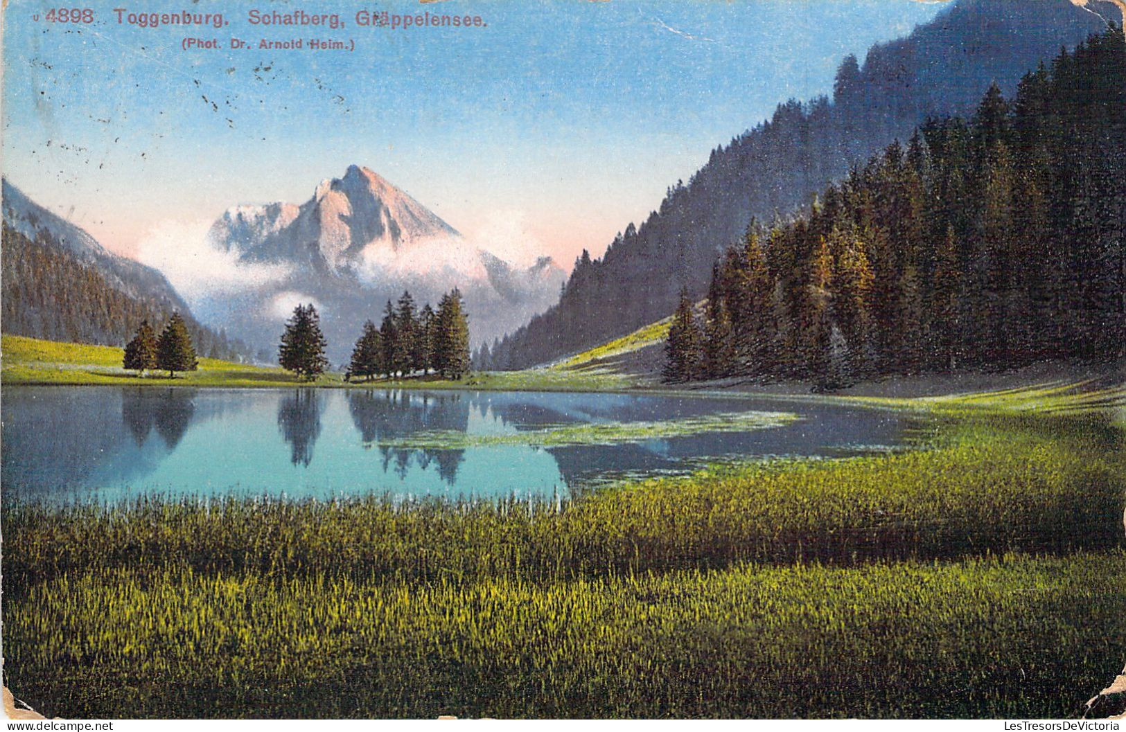 SUISSE - TOGGENBURG - Schafberg - Gräppelensee - Carte Postale Ancienne - Berg