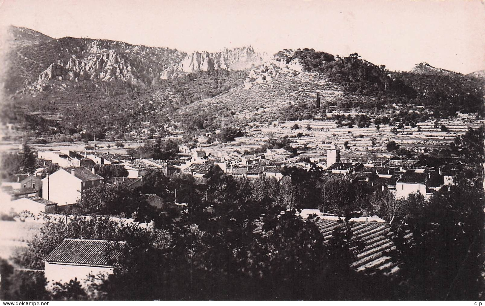La Roquebrussanne - Vue Generale  - CPSM °J - La Roquebrussanne