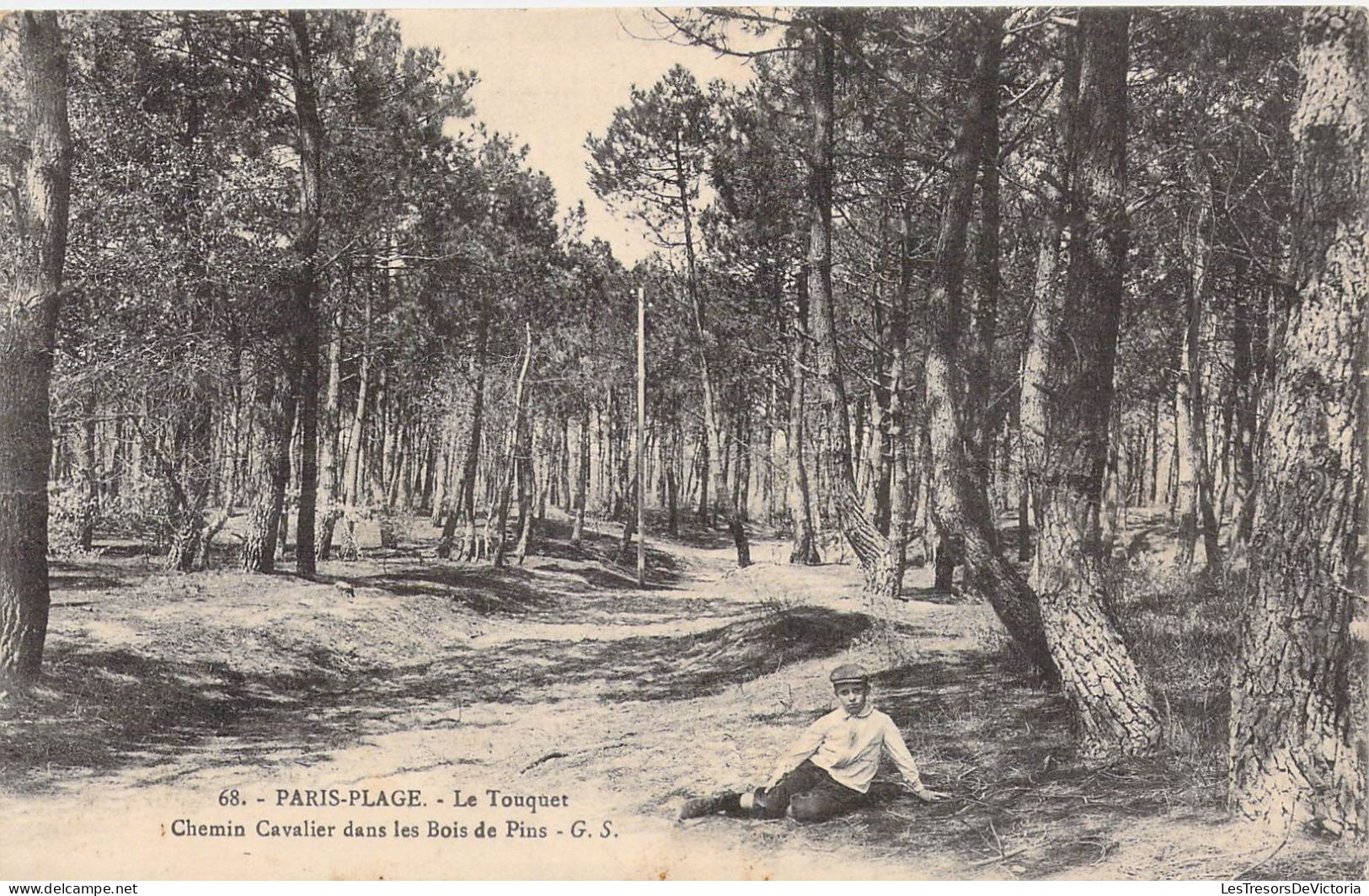 FRANCE - 62 - LE TOUQUET - Chemin Cavalier Dans Les Bois De Pins - G S - Carte Postale Ancienne - Le Touquet