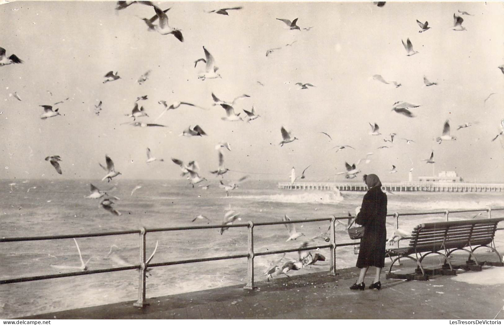 BELGIQUE - BRUGGE - Un Séjour à La Côte Belge En Hiver Donne Joie Santé Et Repos - Carte Postale Ancienne - Brugge