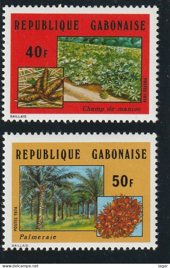 THEMATIC  AGRICULTURE  - GABON - Agriculture