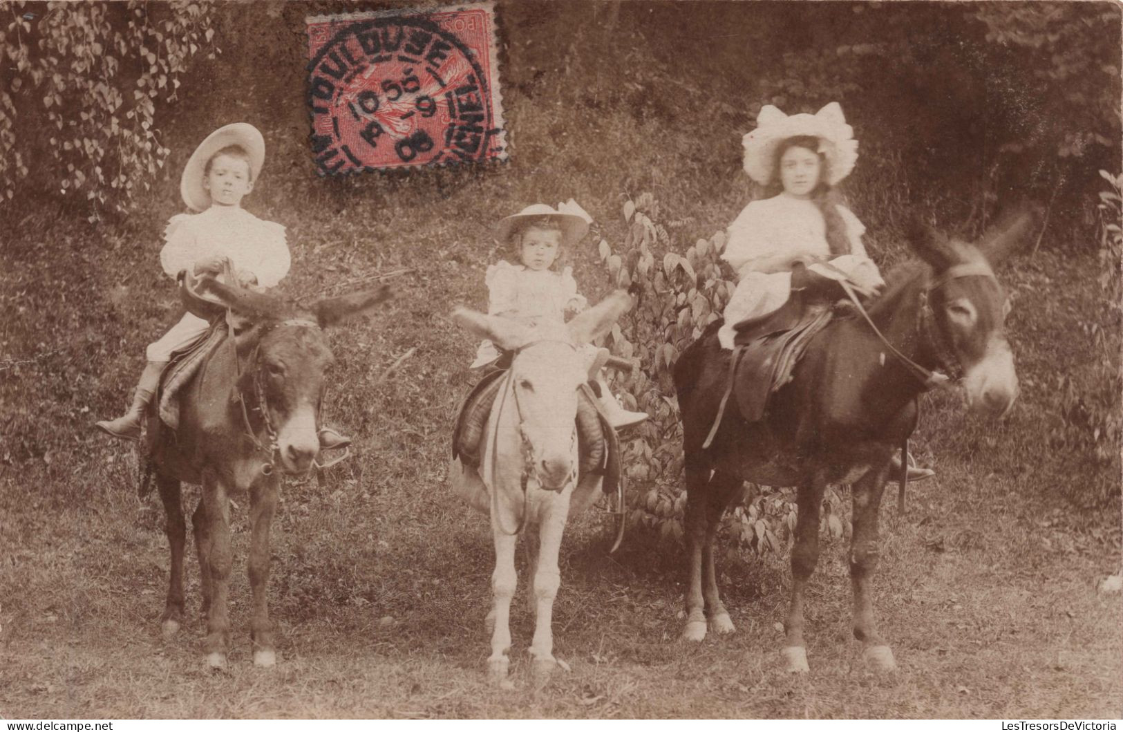 Photographie - Trois Enfants  Avec Chapeaux Sur Trois Anes - Carte Postale Ancienne - Fotografia