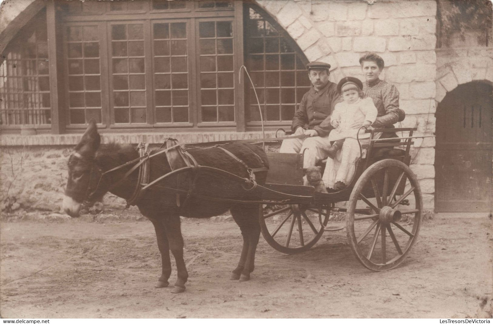 Photographie - Famille Installée Dans Une Charette A Ane - Carte Postale Ancienne - Fotografia