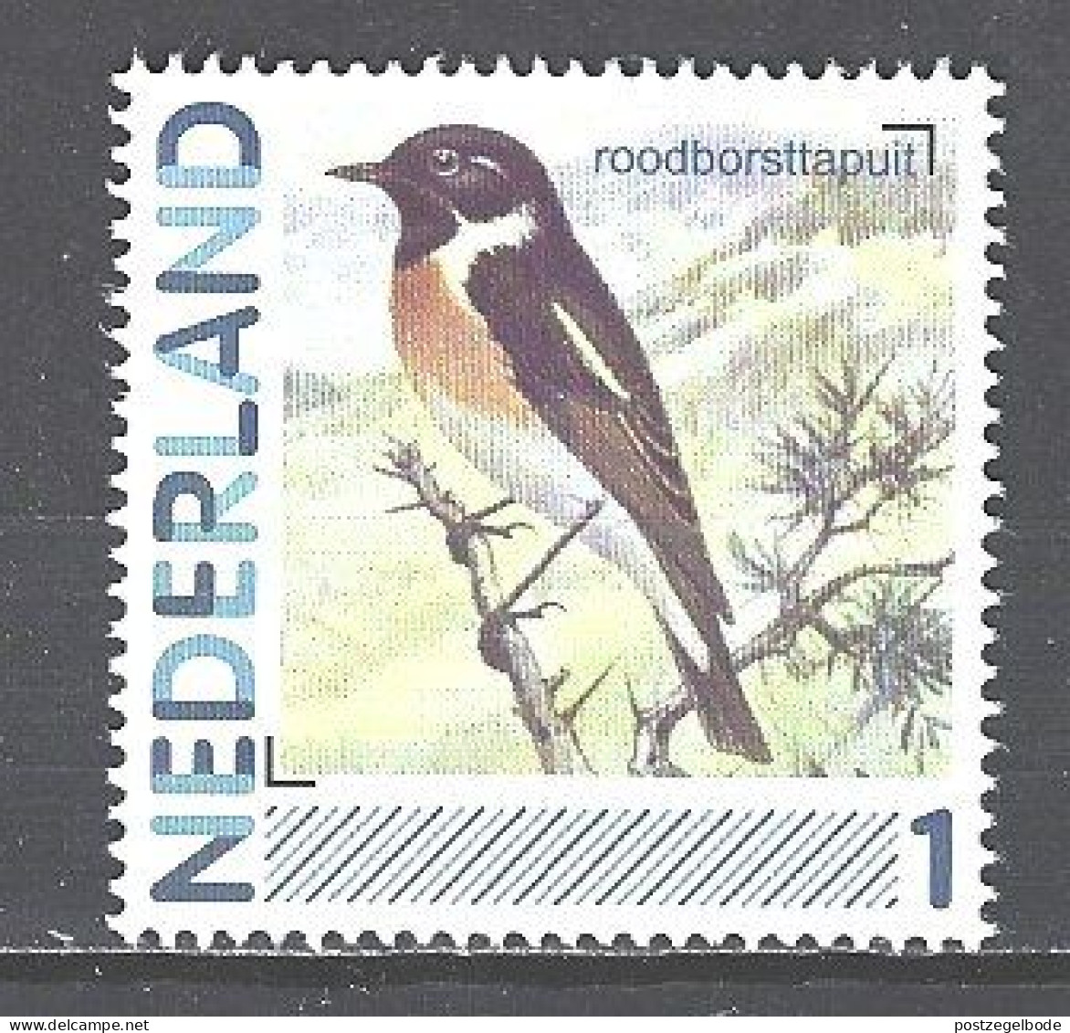 Nederland Netherlands Pays Bas Holanda MNH Roodborst Tapuit Common Stonecatcher Traquet Patre Tarabilla Vogel Bird Ave - Moineaux