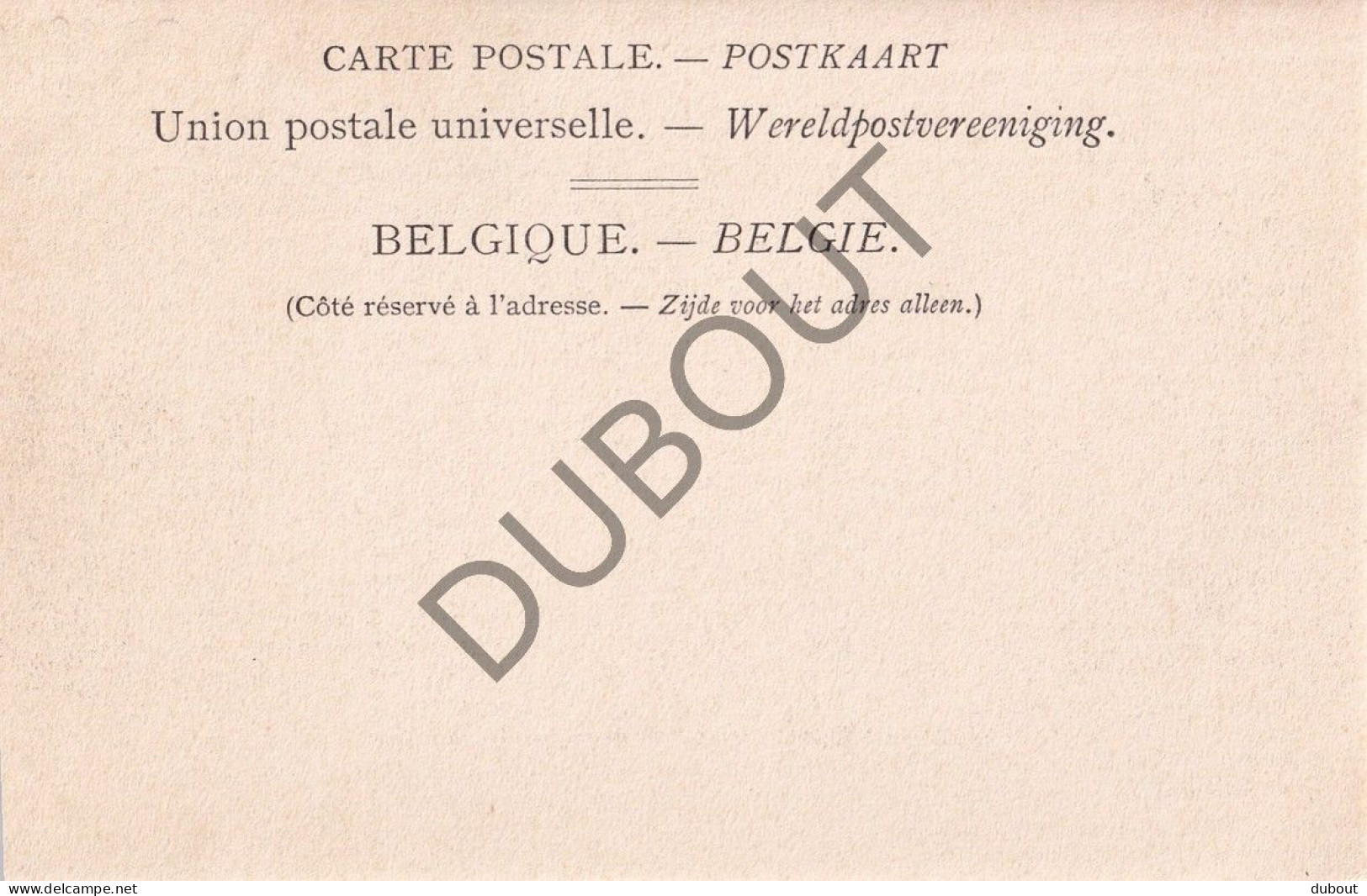 Postkaart/Carte Postale - Boechout -  Panorama Du Village - Molen (C4285) - Boechout