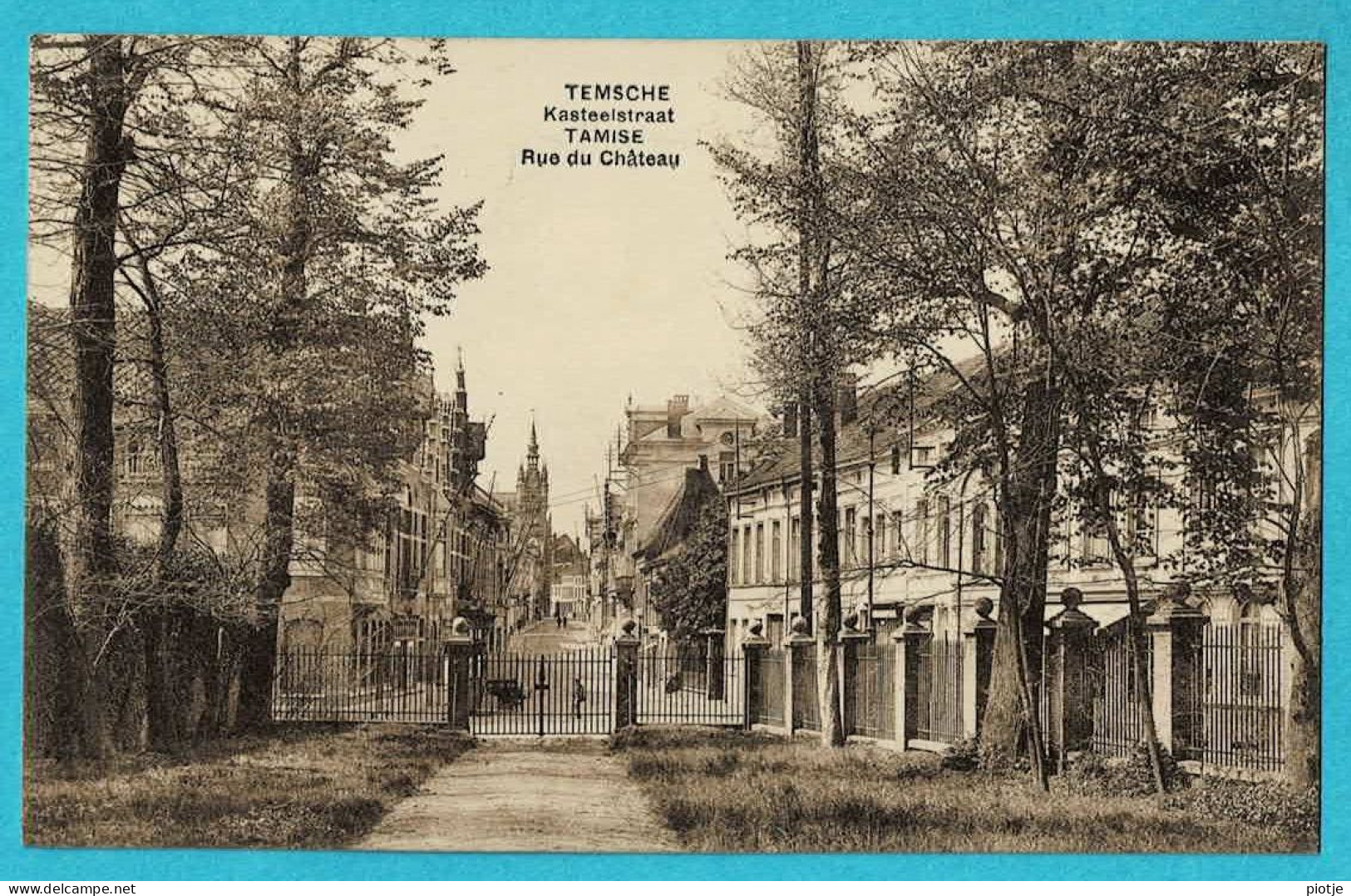 * Temse - Tamise (Oost Vlaanderen) * (Edition Charlotte Desmet) Kasteelstraat, Rue Du Chateau, Entrée, Old, Rare - Temse