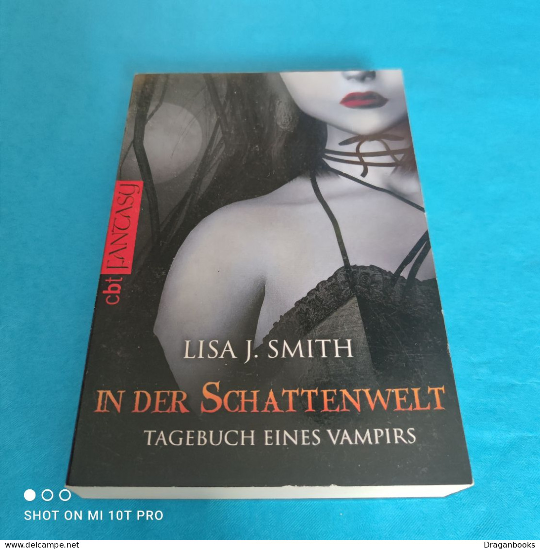 Lisa J. Smith - Tagebuch Eines Vampirs Band 4 - In Der Schattenwelt - Fantasy