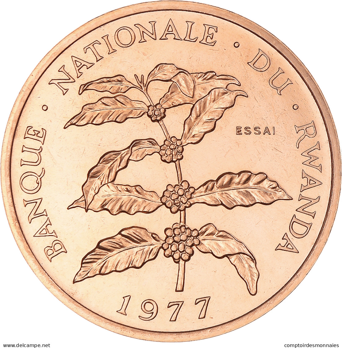 Monnaie, Rwanda, 5 Francs, 1977, Monnaie De Paris, ESSAI, FDC, Bronze, KM:E5 - Rwanda