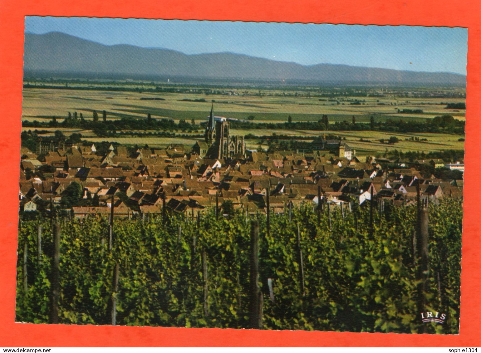 ROUFFACH - Vue Générale - - Rouffach