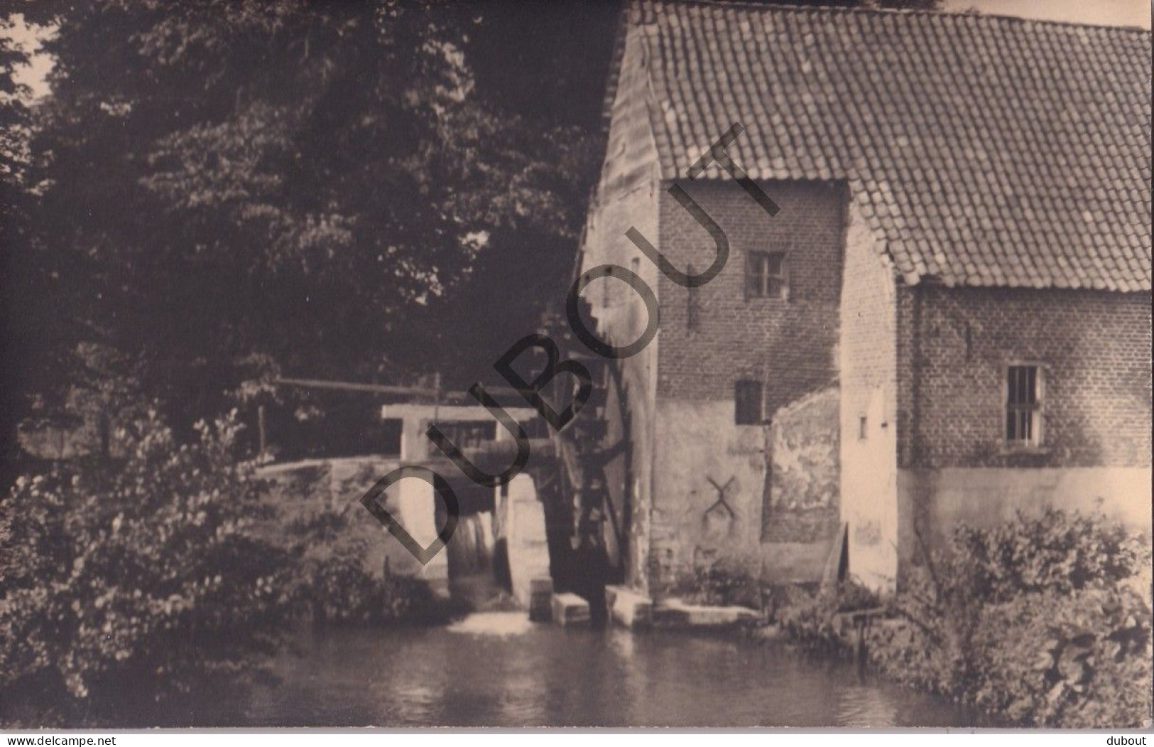 Fotokaart/Carte Photo - Kleine Brogel - Molen  (C4273) - Peer