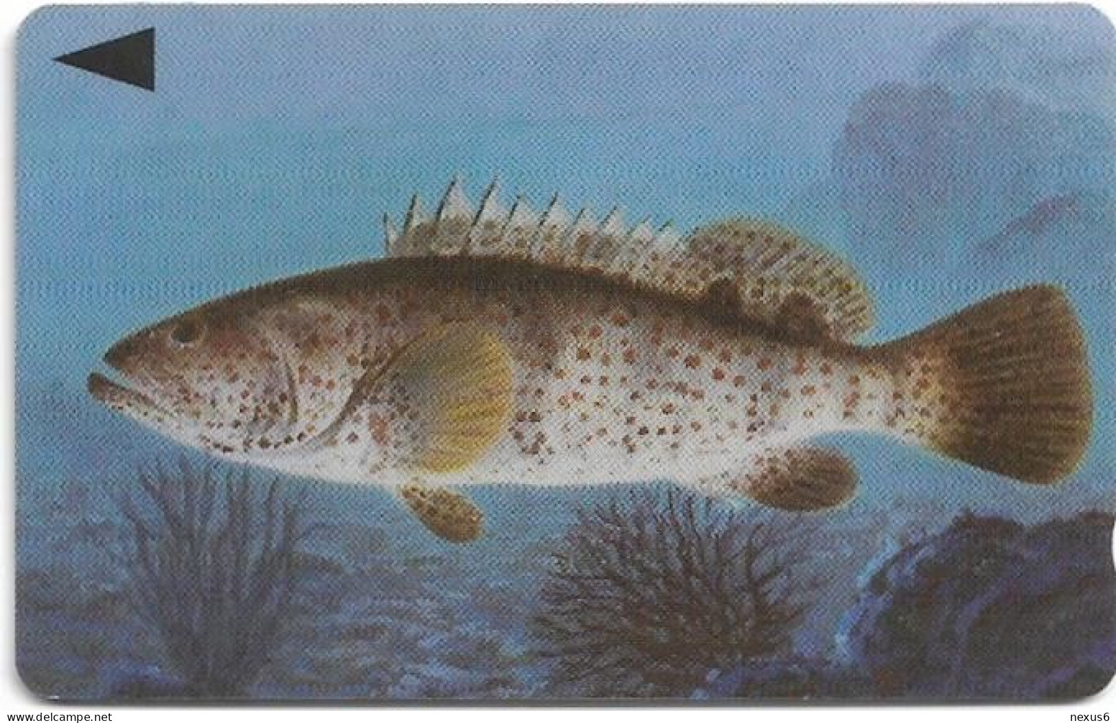 Bahrain - Batelco (GPT) - Fish Of Bahrain - Grouper - 39BAHS (Normal 0, Flat Top ''3''), 1996, 200.000ex, Used - Baharain