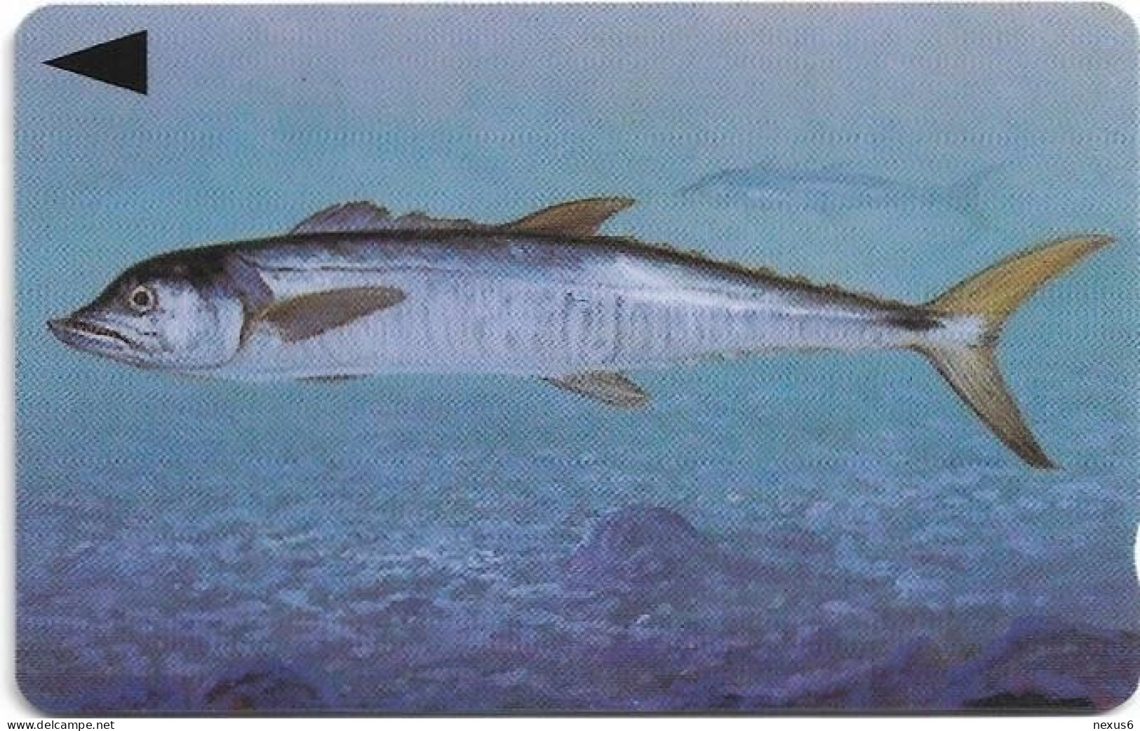 Bahrain - Batelco (GPT) - Fish Of Bahrain - Spanish Mackerel - 39BAHR (Normal 0), 1996, 50Units, Mint No Blister - Bahrein
