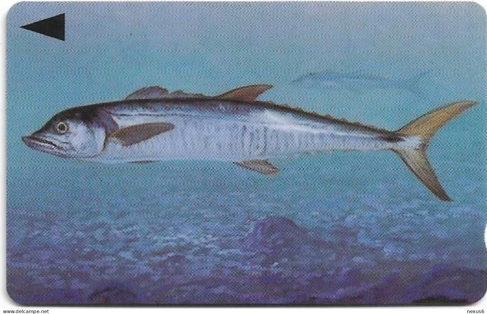 Bahrain - Batelco (GPT) - Fish Of Bahrain - Spanish Mackerel - 39BAHR (Dashed Ø), 1996, 50Units, Used - Bahrein