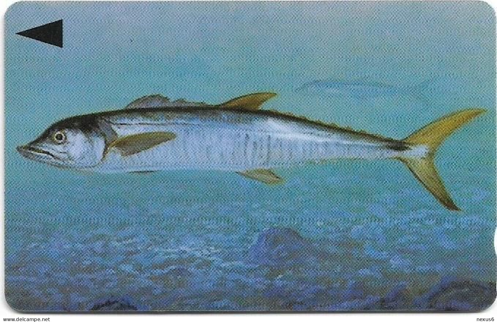 Bahrain - Batelco (GPT) - Fish Of Bahrain - Spanish Mackerel - 40BAHH (Dashed Ø), 1996, 50Units, Used - Baharain