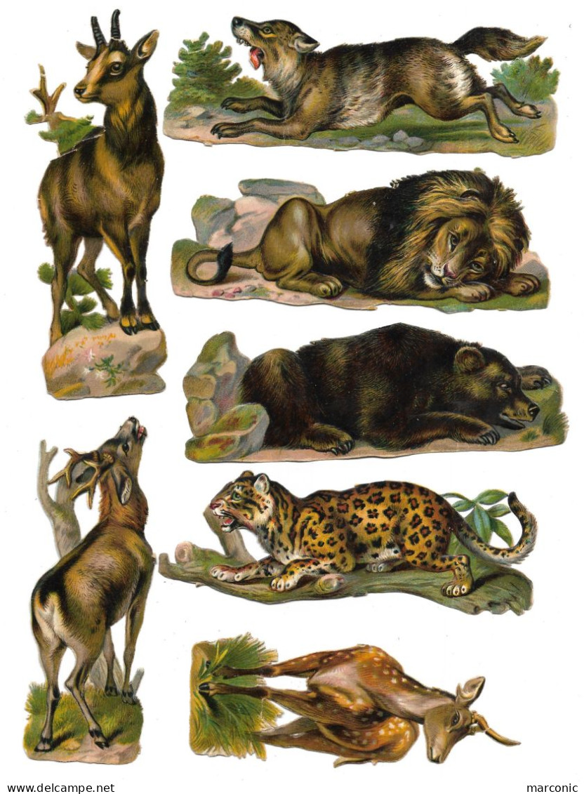 LOT 7 DECOUPIS Animaux - Lion, Ours, Panthère, Loup, Cerfs, Daim - Animals