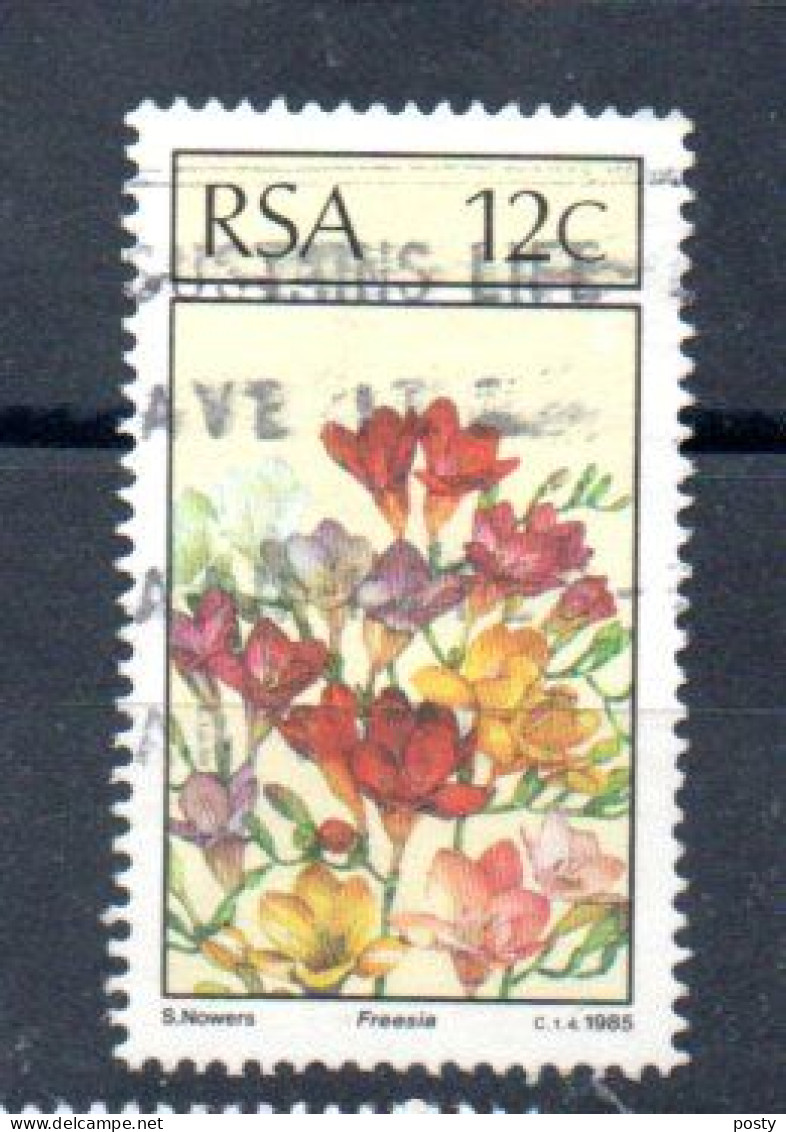 AFRIQUE DU SUD - SOUTH AFRICA - 1985 - FLEURS - FLOWERS - BLUMEN - Obli - Used - 12ç - - Used Stamps