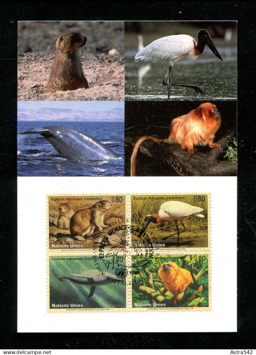 "UNO-GENF" 1994, Mi. 245-248 "Fauna" 4er-Block Maximumkarte (15512) - Maximumkaarten