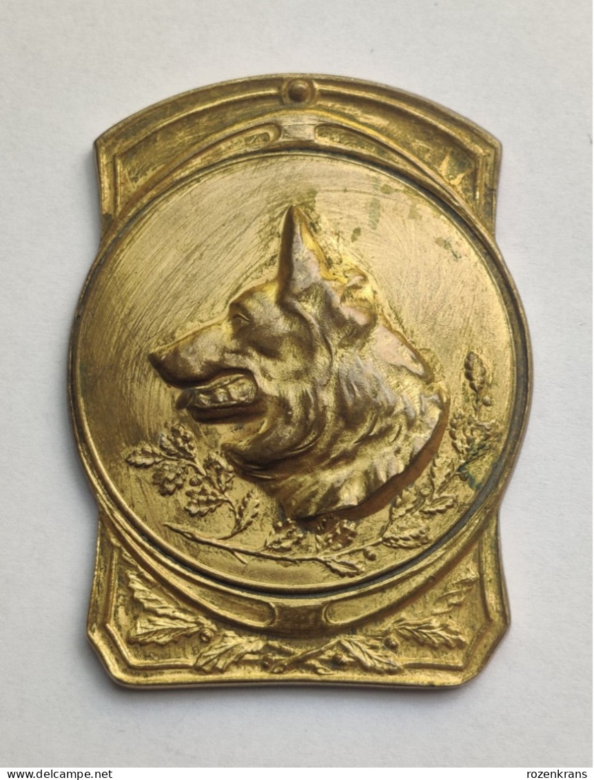 Oude Medaille Ancienne Old Medal Dog Chien Hond German Shepherd Berger Allemand Prijskamp Concours Agricole - Andere & Zonder Classificatie