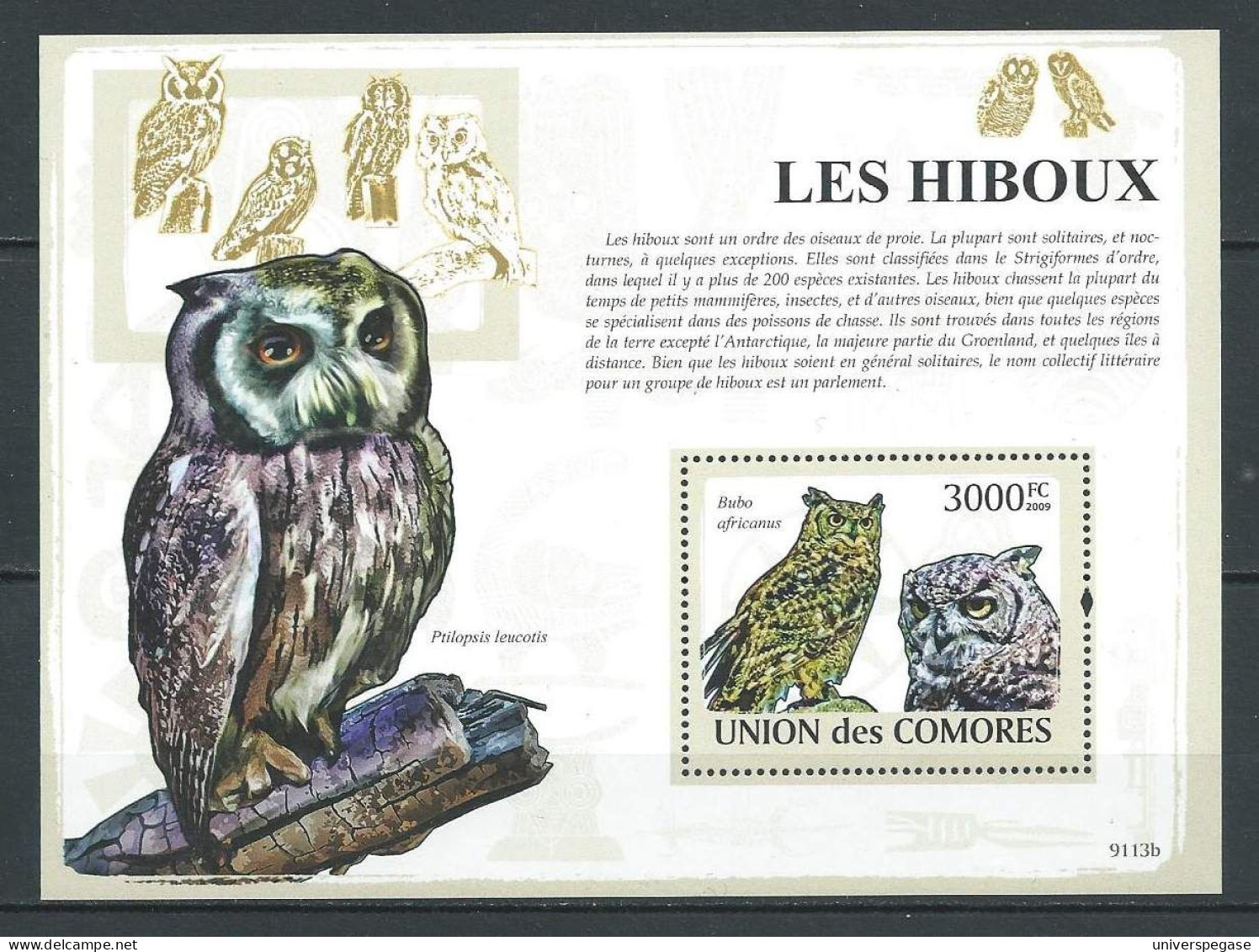 2009 - Union Des Comores Neuf** MNH : Les Hiboux - Comores (1975-...)