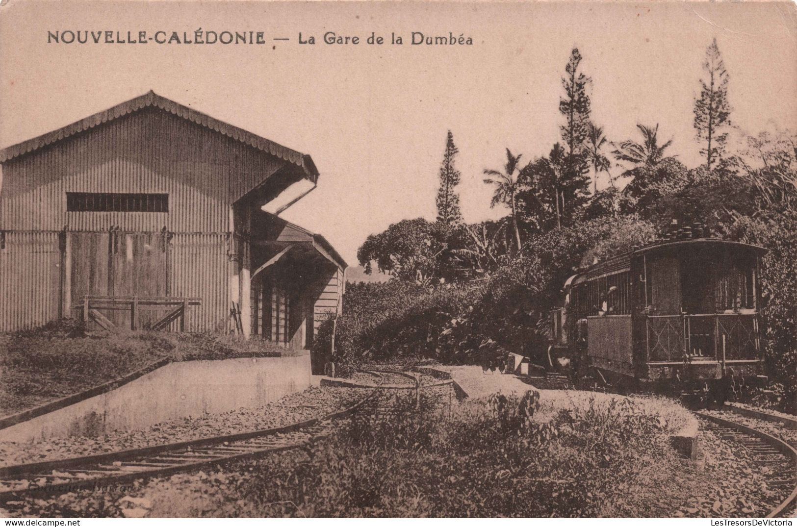 NOUVELLE CALEDONIE - La Gare De La Dumbea - Train - Chemin De Fer  - Carte Postale Ancienne - New Caledonia