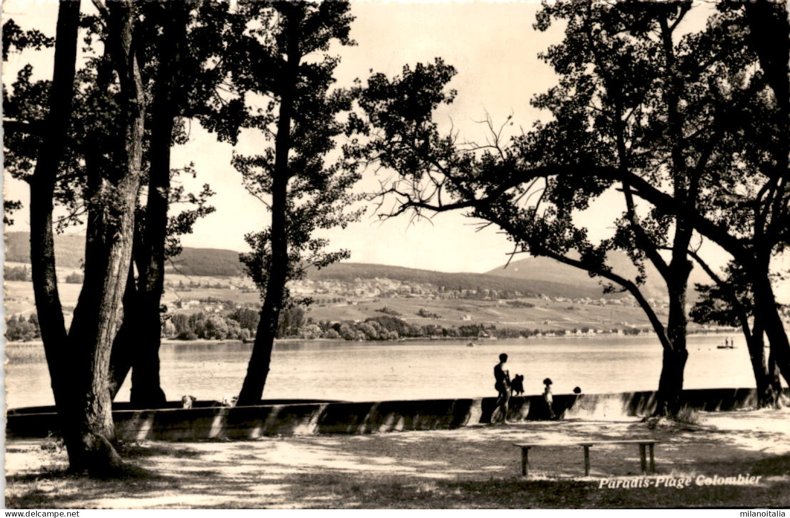 Paradis-Plage Colombier * 26. 7. 1963 (b) - Colombier