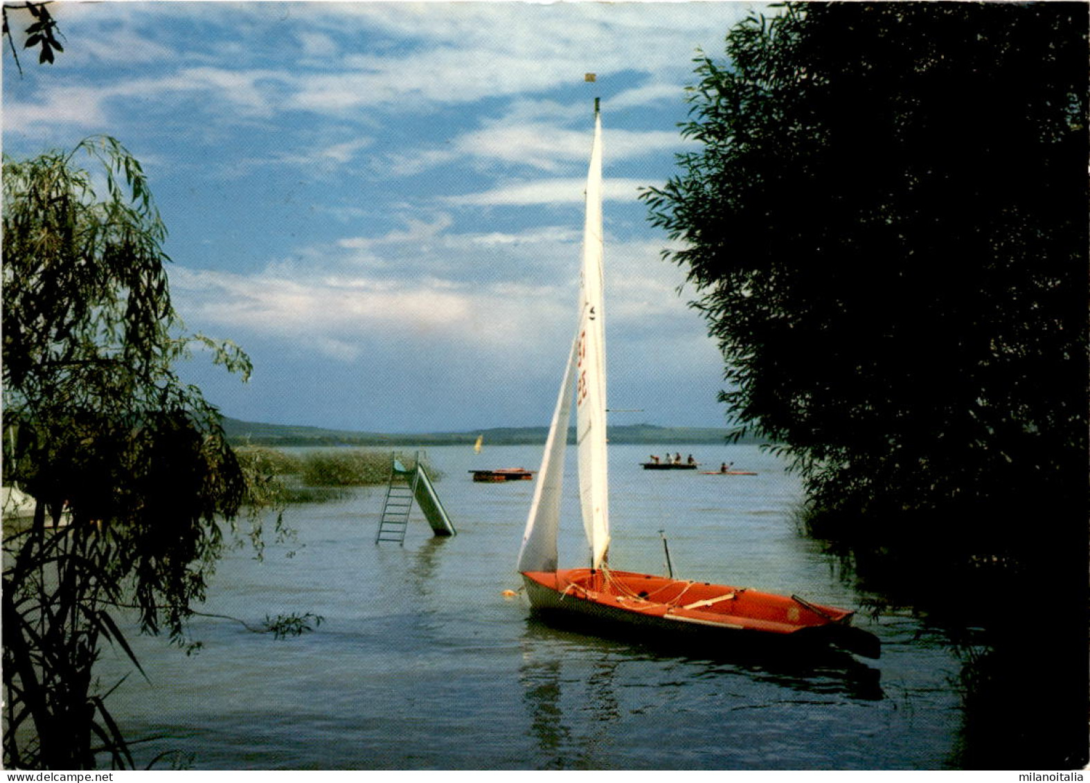 Gelände "Die Neue Zeit" Am Neuenburgersee - Thielle (321) * 26. 7. 1980 - Thielle