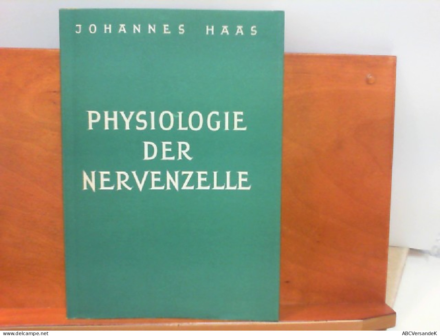 Die Physiologie Der Nervenzelle - Health & Medecine