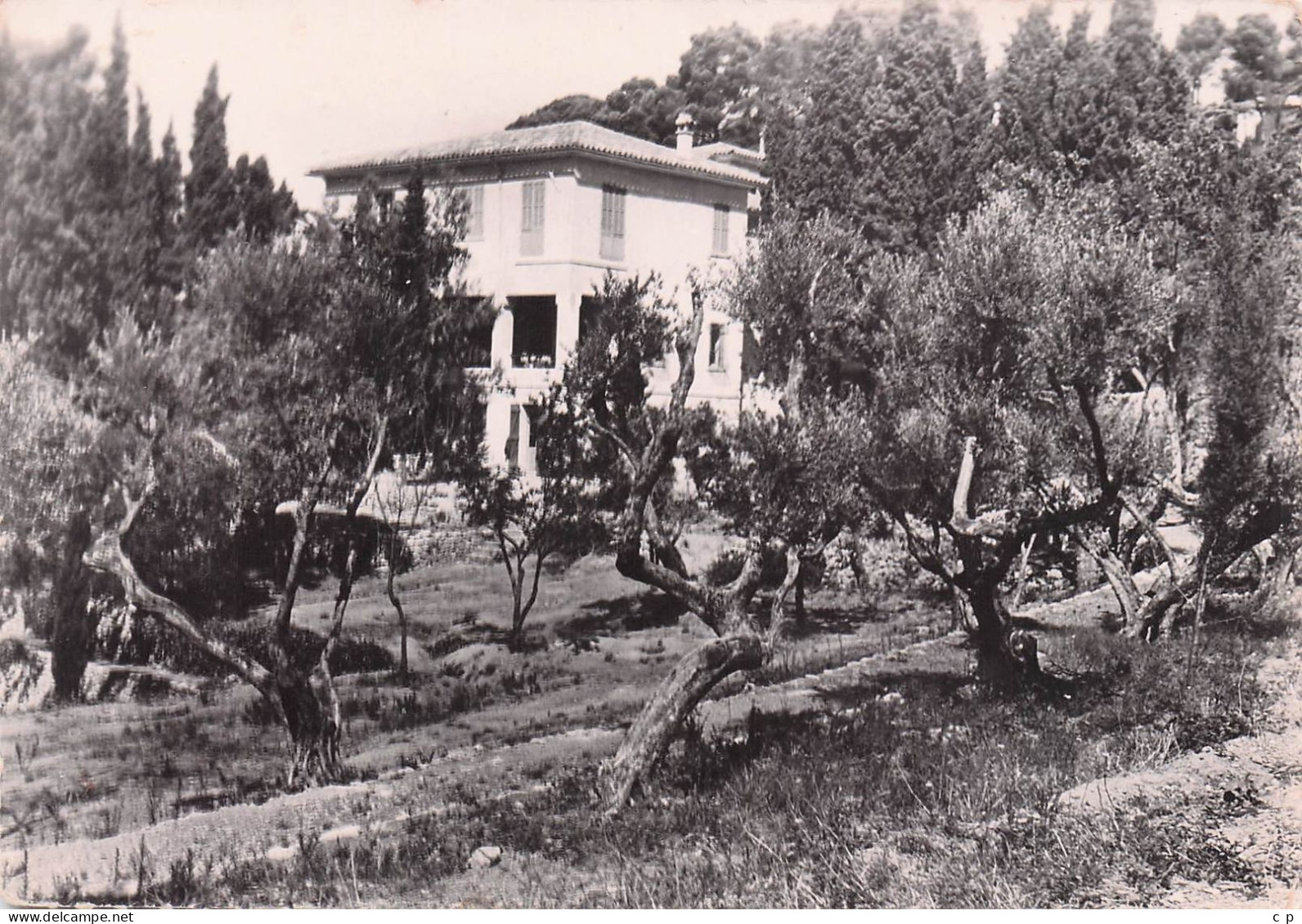 La Garde - Domaine De Massacan - Colonie Ville Grenoble  - CPSM °J - La Garde