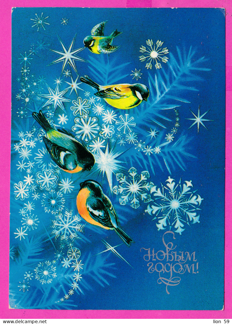 296644 / Russia 1984 - 4 K. - New Year Painter Zaporizhia, Ukraine Natalʹya Korobova - Bird Sparrows Stationery Card  - Pics & Grimpeurs