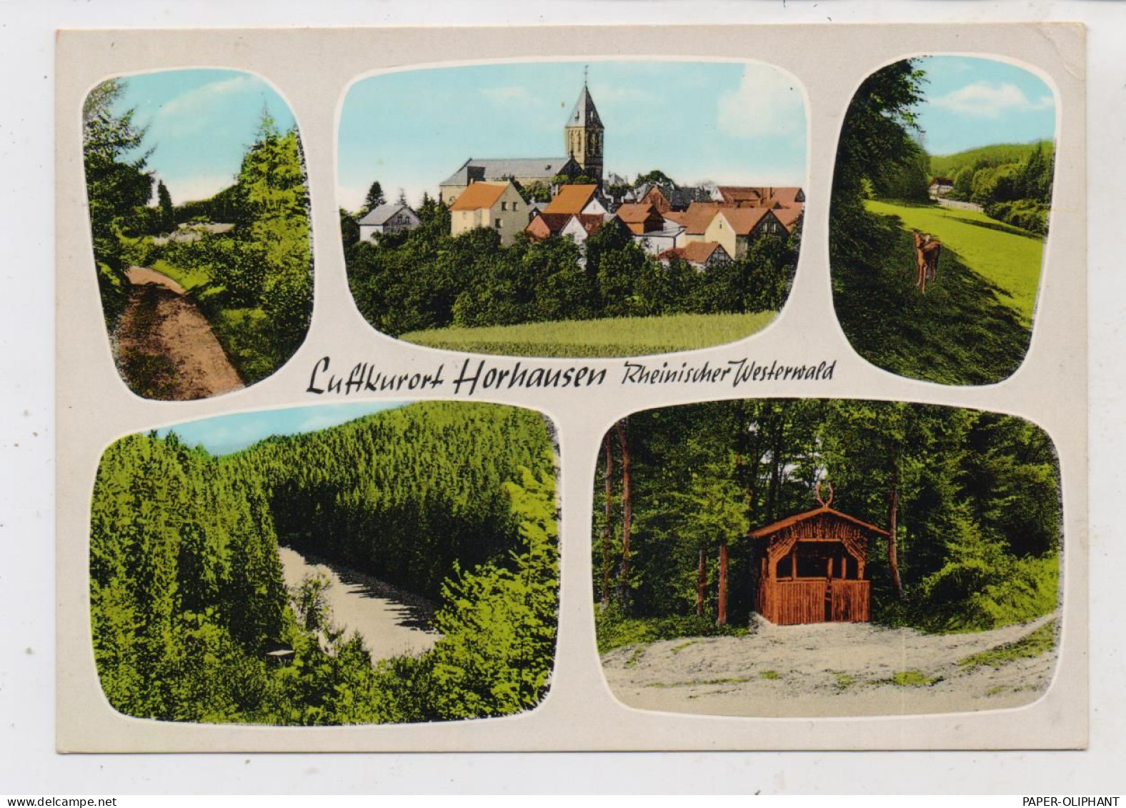 5232 FLAMMERSFELD - HORHAUSEN, Mehrbild - AK - Altenkirchen