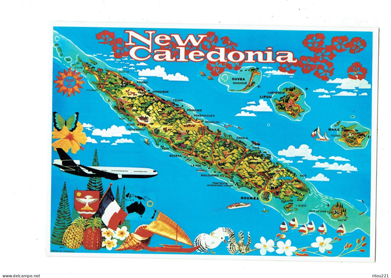 Grande Cpm - Nouvelle Calédonie - Carte Géographique Illustration Coquillage Oiseau Avion - 1990 - Nouvelle Calédonie