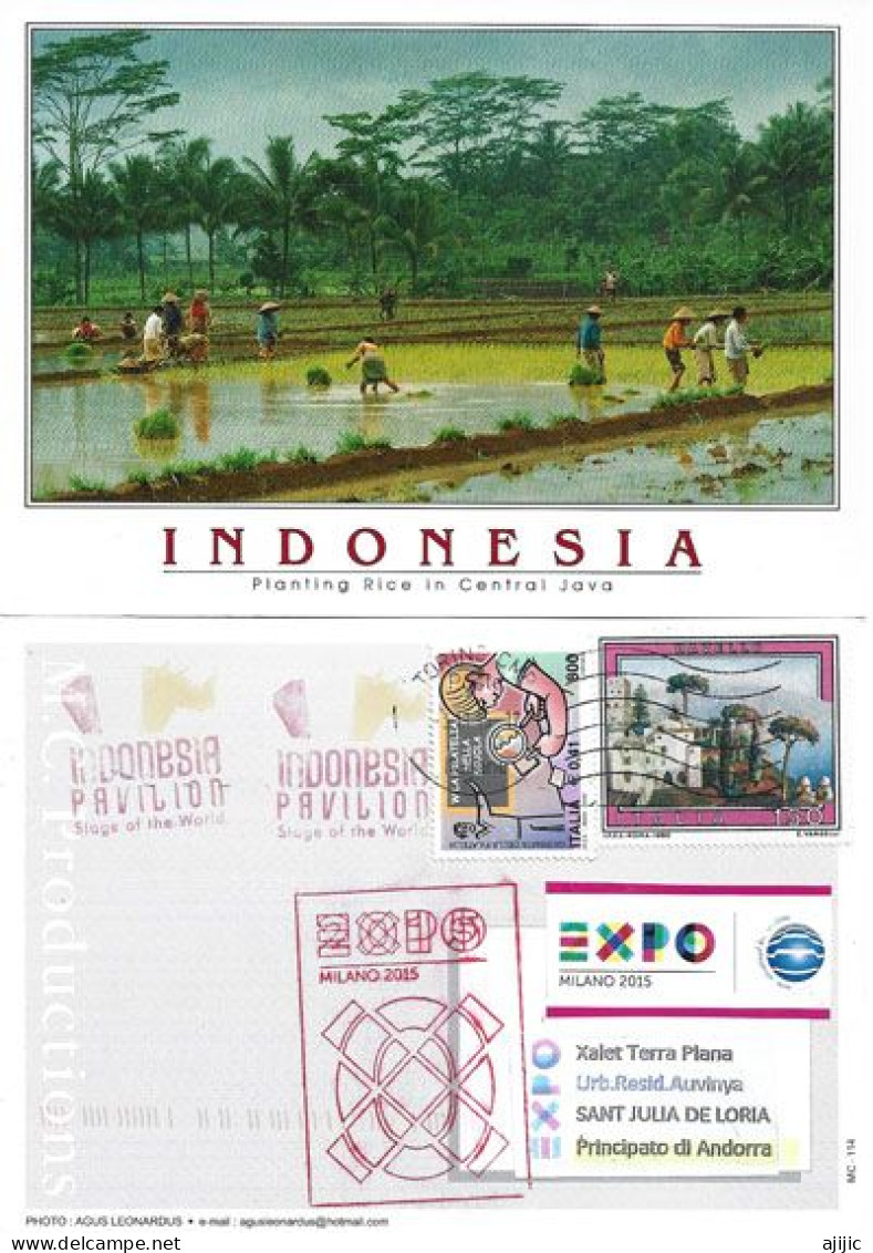 Wonderful Memory Of My Visit To The Indonesian Pavilion At The Universal Expo Milano 2015. - 2015 – Milano (Italia)