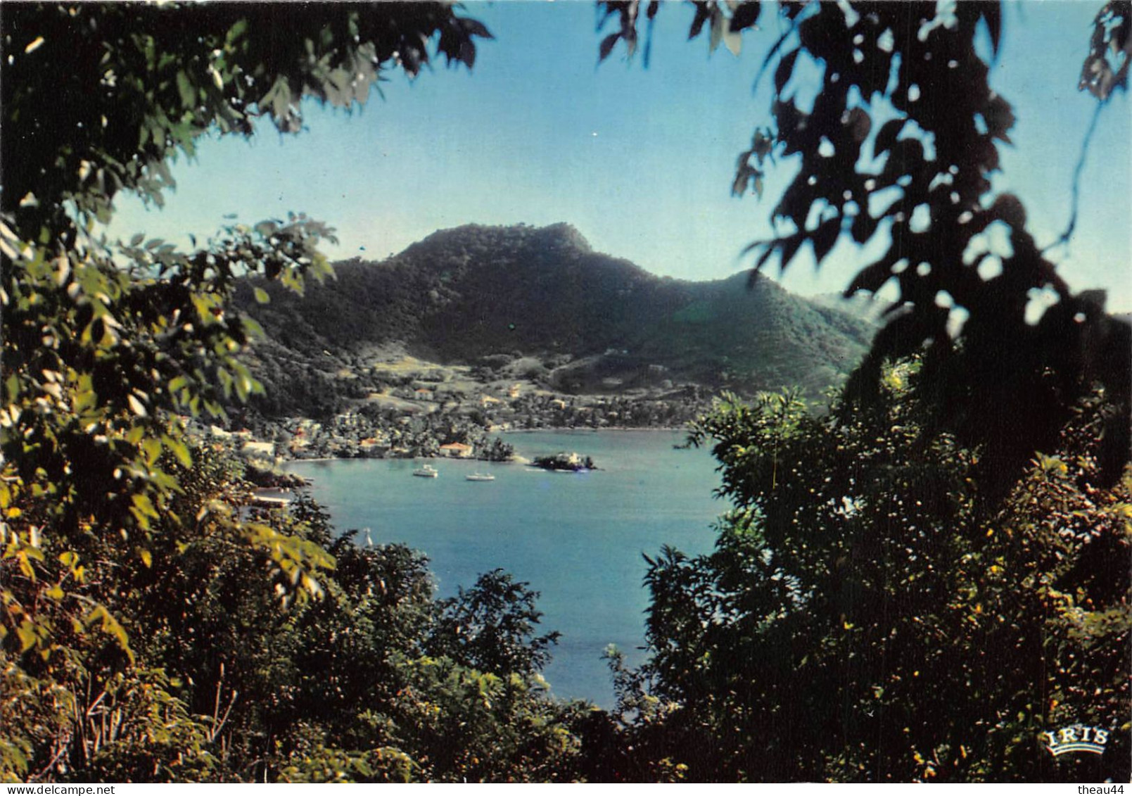 GUADELOUPE  -  Lot de 20 Cartes - Plages, Arbres, Fort St-Charles, Les Saintes, Iguane, Boeufs, Canne à Sucre, Soufrière