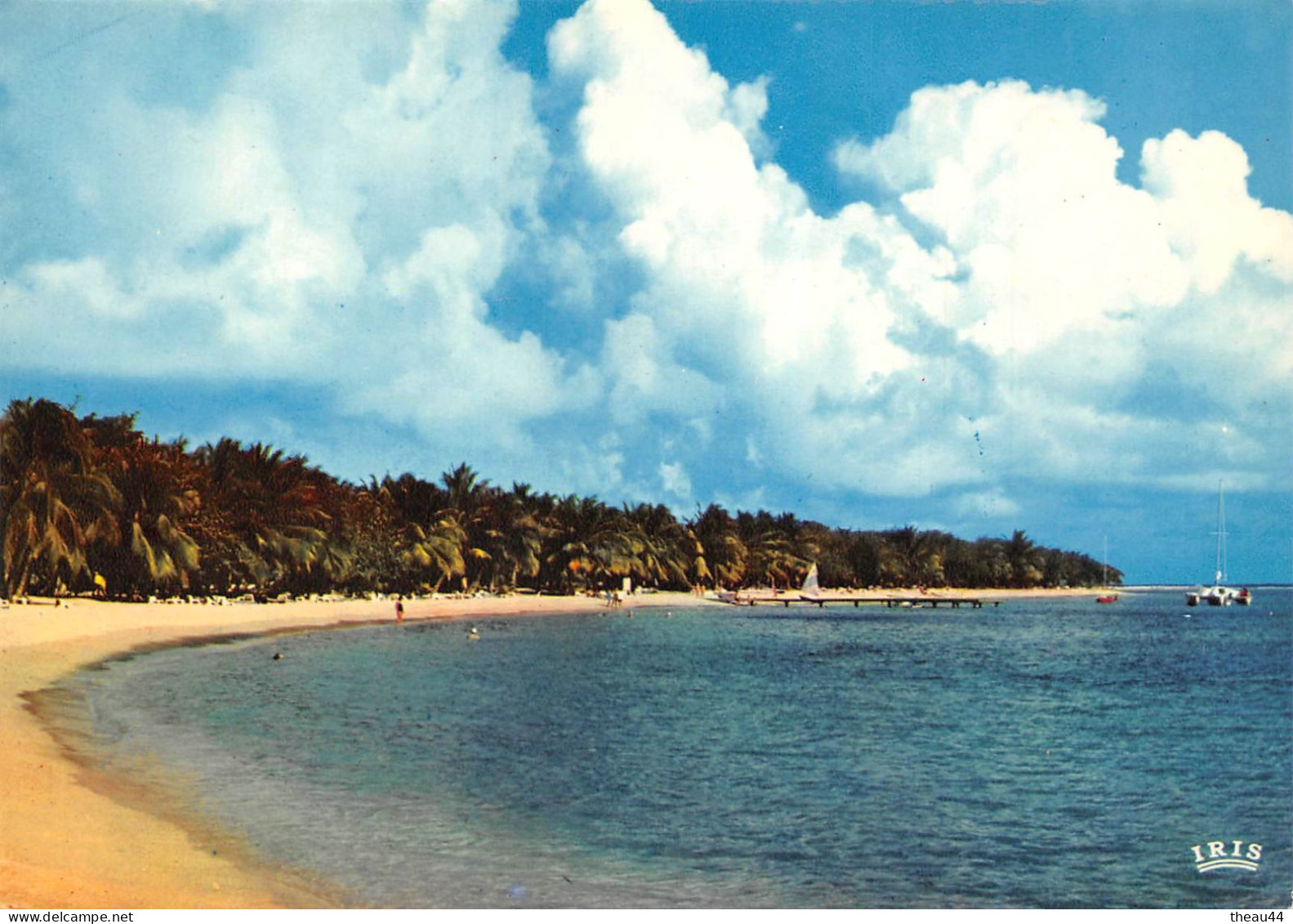 GUADELOUPE  -  Lot de 20 Cartes - Plages, Arbres, Fort St-Charles, Les Saintes, Iguane, Boeufs, Canne à Sucre, Soufrière