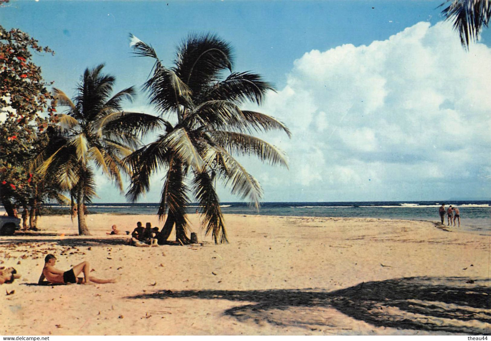 GUADELOUPE -  Lot de 11 Cartes - Boeufs, Canne à Sucre, Plage de la Caravelle, Deshaies, Fruits, Soufrière, Ste-Anne....