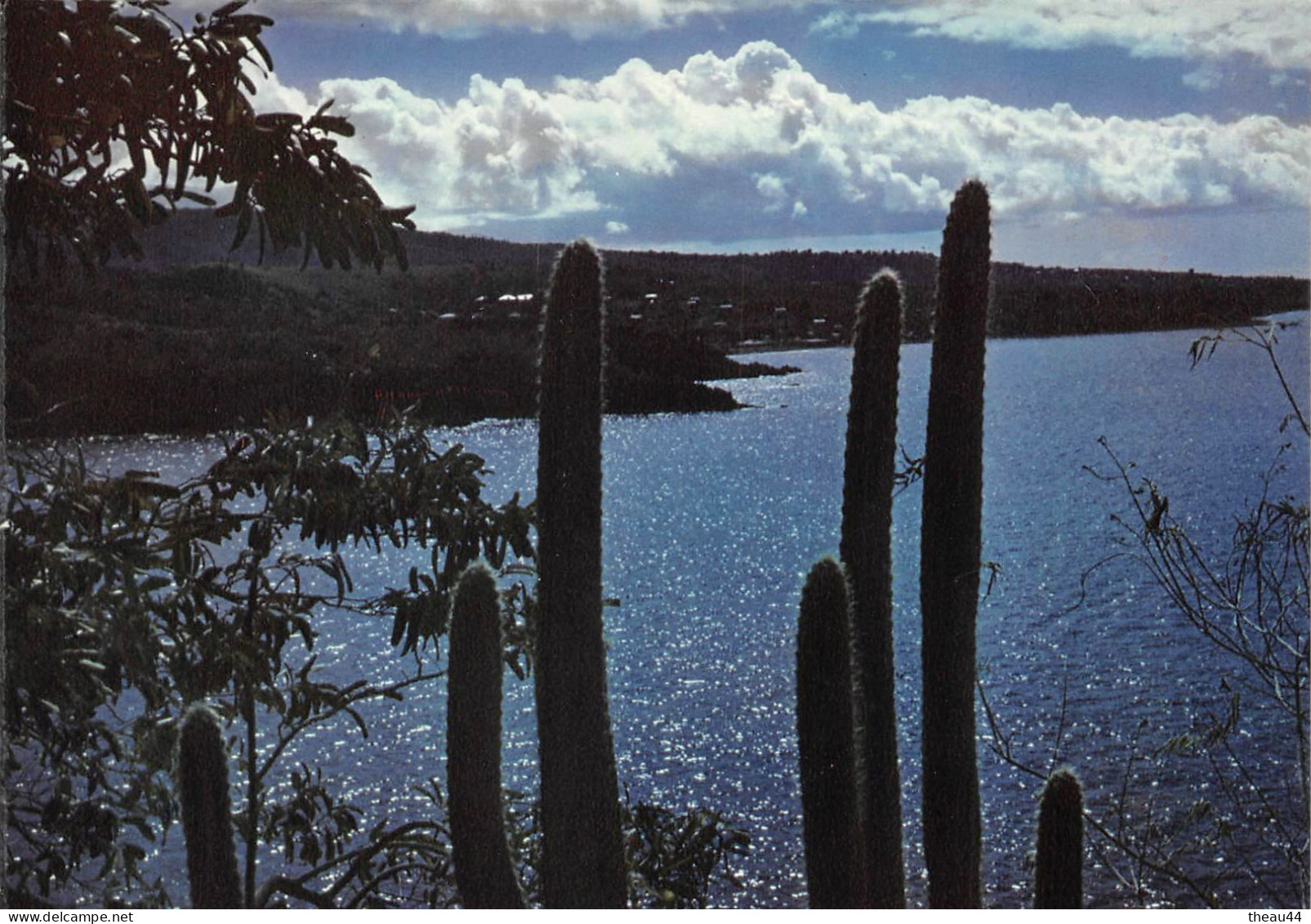 GUADELOUPE -  Lot de 11 Cartes - Boeufs, Canne à Sucre, Plage de la Caravelle, Deshaies, Fruits, Soufrière, Ste-Anne....