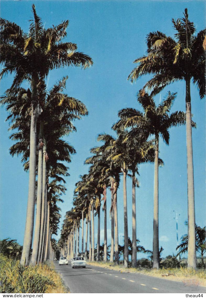 GUADELOUPE -  Lot de 11 Cartes - Boeufs, Canne à Sucre, Plage de la Caravelle, Deshaies, Fruits, Soufrière, Ste-Anne....