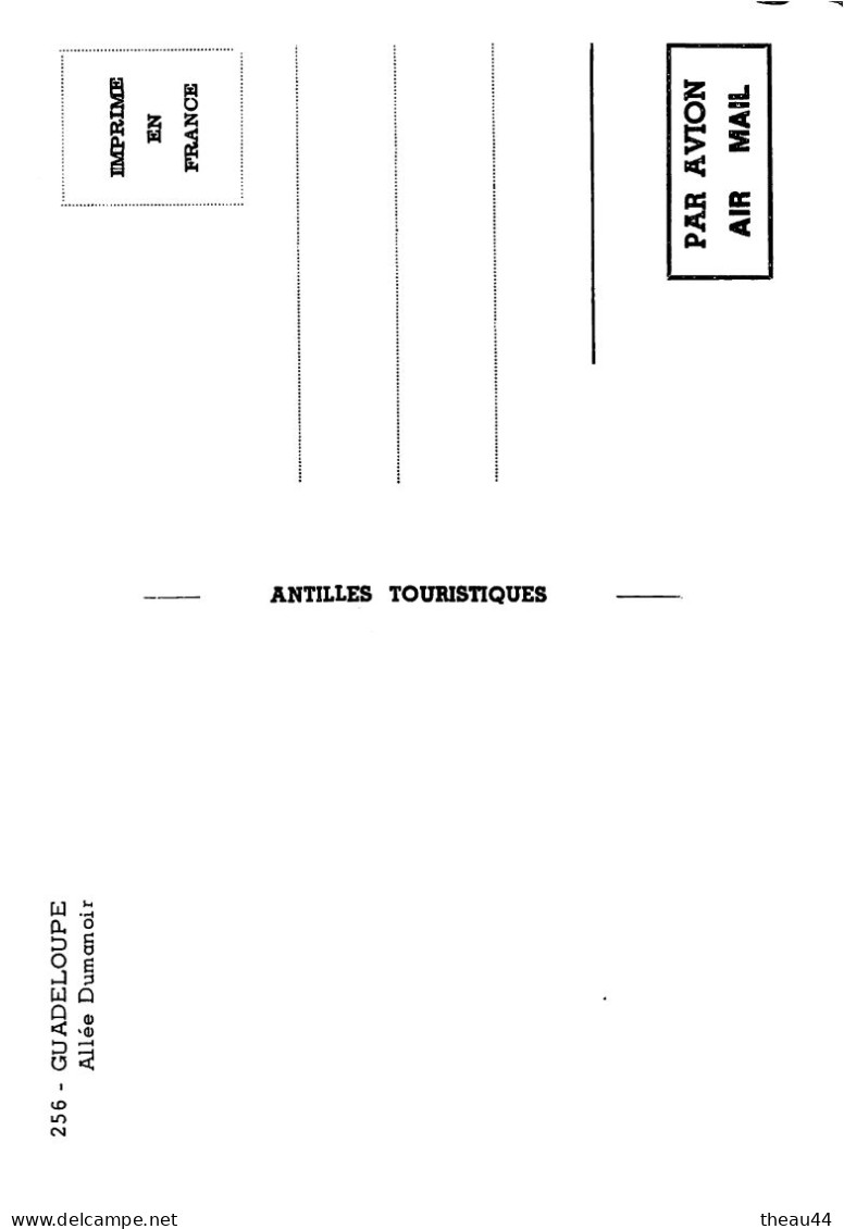 GUADELOUPE -  Lot de 11 Cartes - Boeufs, Canne à Sucre, Plage de la Caravelle, Deshaies, Fruits, Soufrière, Ste-Anne....