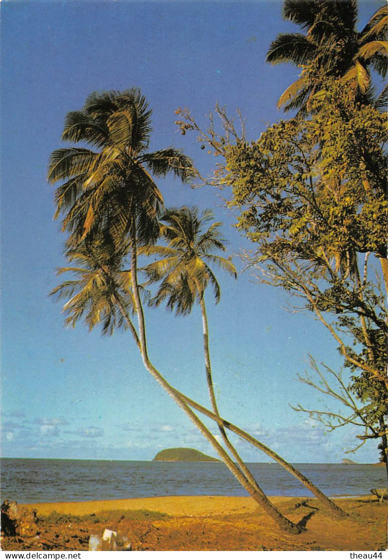 GUADELOUPE -  Lot de 11 Cartes - Boeufs, Canne à Sucre, Plage de la Caravelle, Deshaies, Fruits, Soufrière, Ste-Anne....