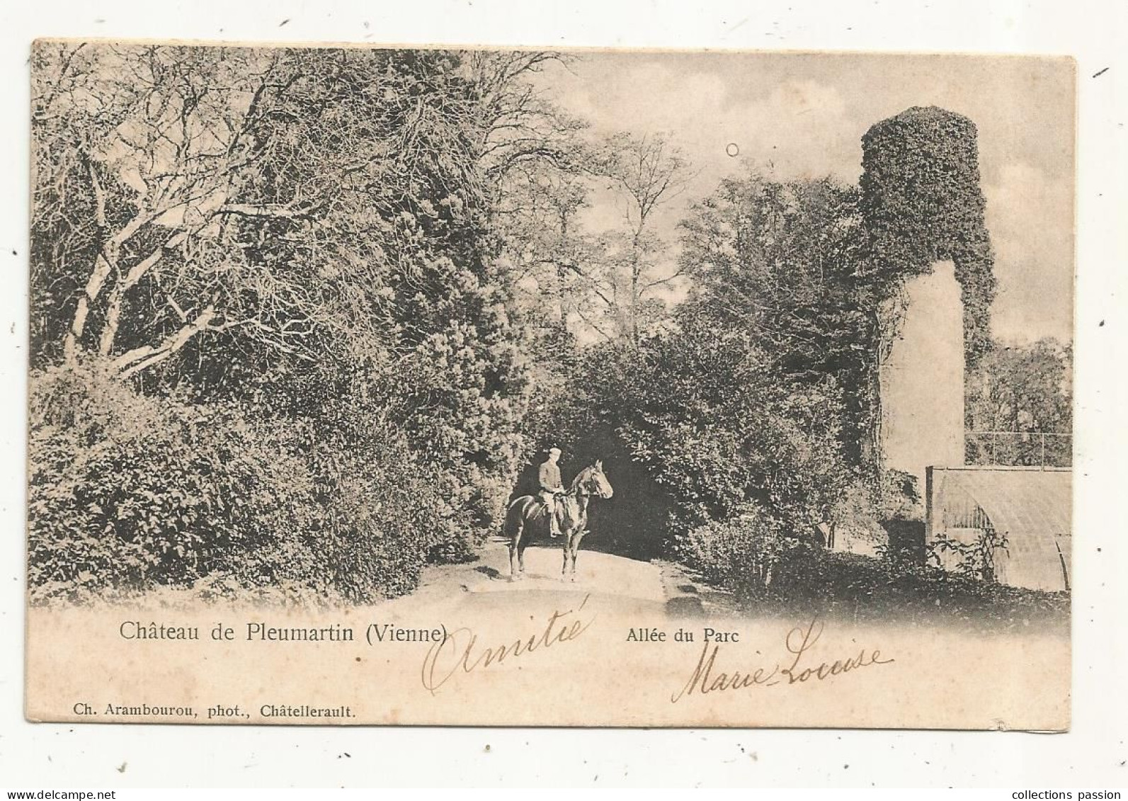 JC, Cp, 86, Château De PLEUMARTIN, Allée Du Parc, Cavalier , Cheval, Dos Simple, Voyagée 1903 - Pleumartin