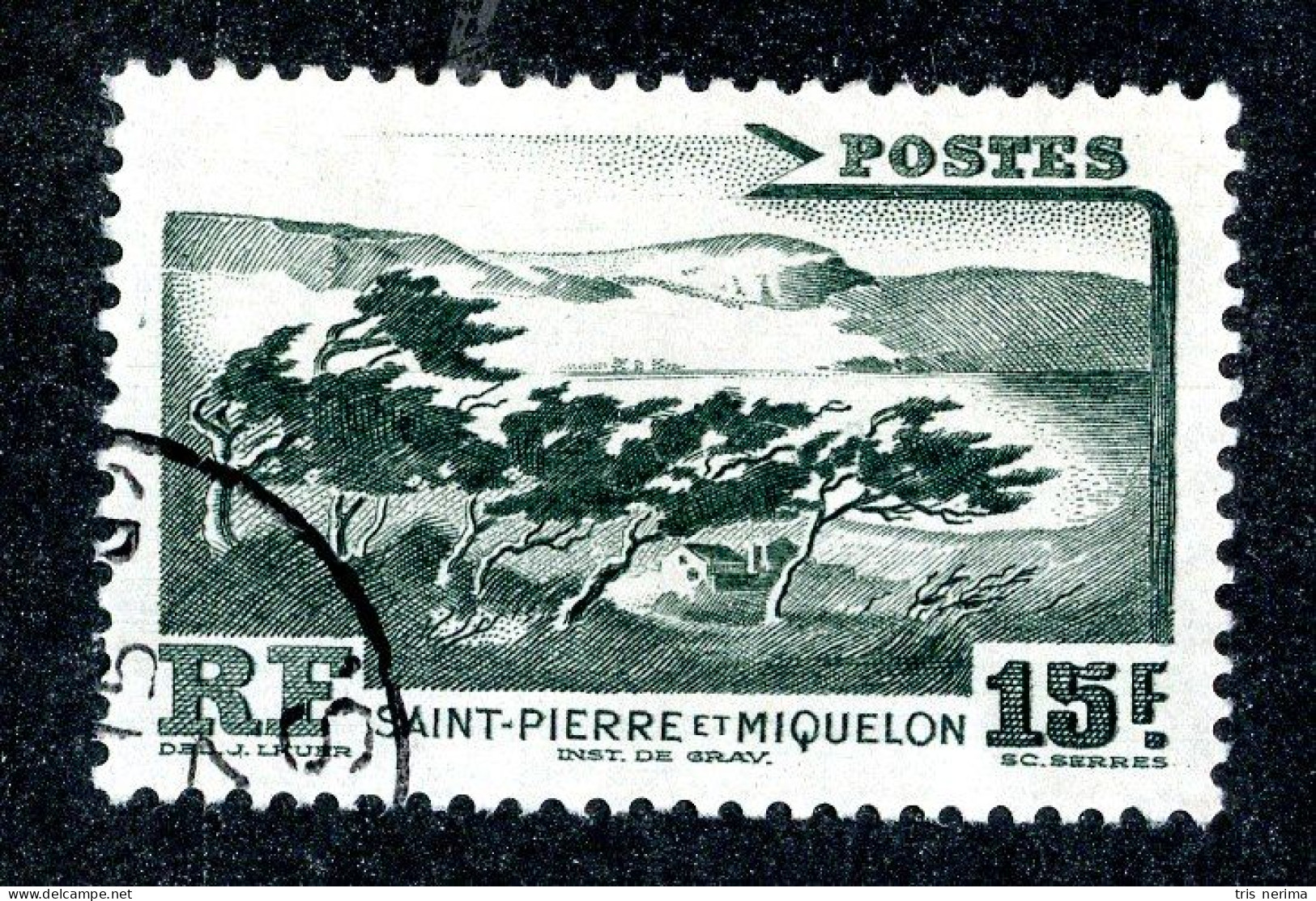 1106 Wx St Pierre 1947 YT 341 Used (Lower Bids 20% Off) - Oblitérés