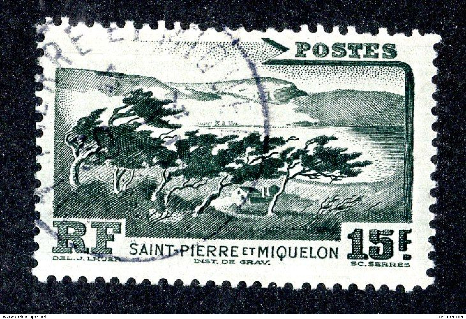 1107 Wx St Pierre 1947 YT 341 Used (Lower Bids 20% Off) - Oblitérés