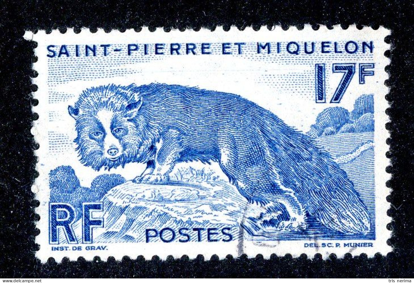 1109 Wx St Pierre 1952 YT 346 Used (Lower Bids 20% Off) - Oblitérés