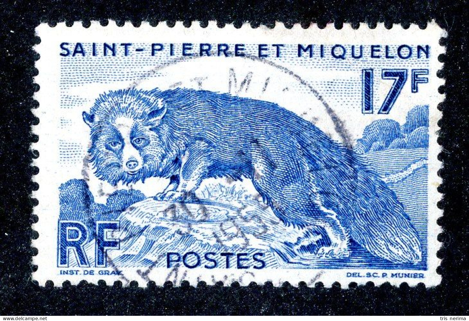 1111 Wx St Pierre 1952 YT 346 Used (Lower Bids 20% Off) - Oblitérés