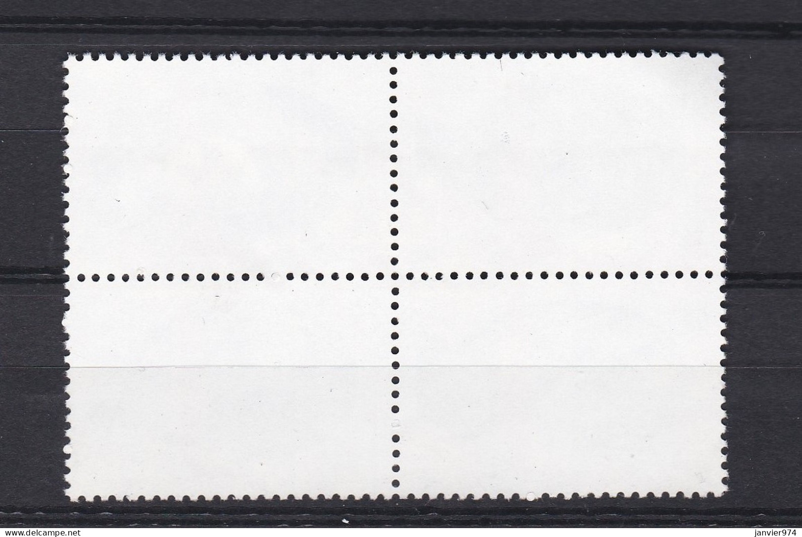 1988 Chine. Protection De L’environnement, La Série Complète 2180 à 2183, 4 Timbres Neufs   Scan Recto Verso - Unused Stamps