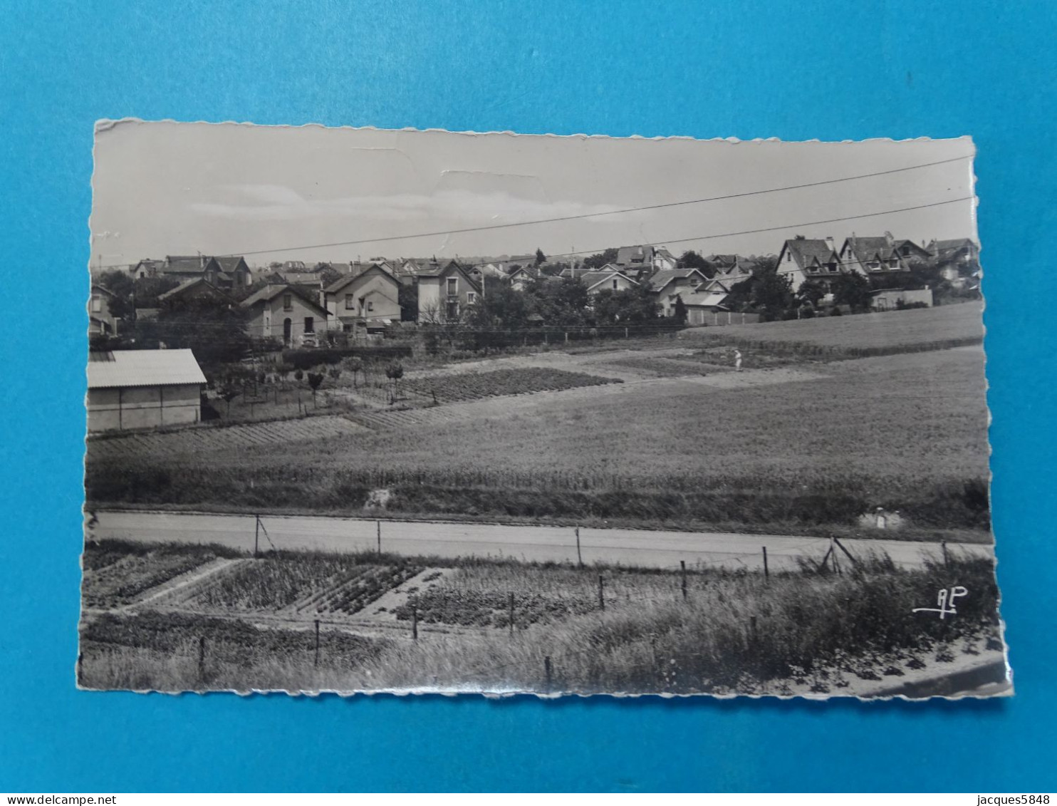 95) Survilliers-fosses - N°12.707 - (carte Photo) - Vue Générale Du Lotissement De La Gare - Année: 1956 - EDIT: A.P - Survilliers