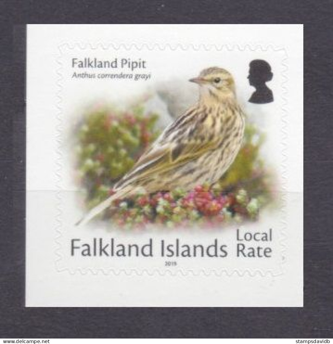 2019 Falkland Islands 1344 II Birds 2,70 € - Piciformes (pájaros Carpinteros)