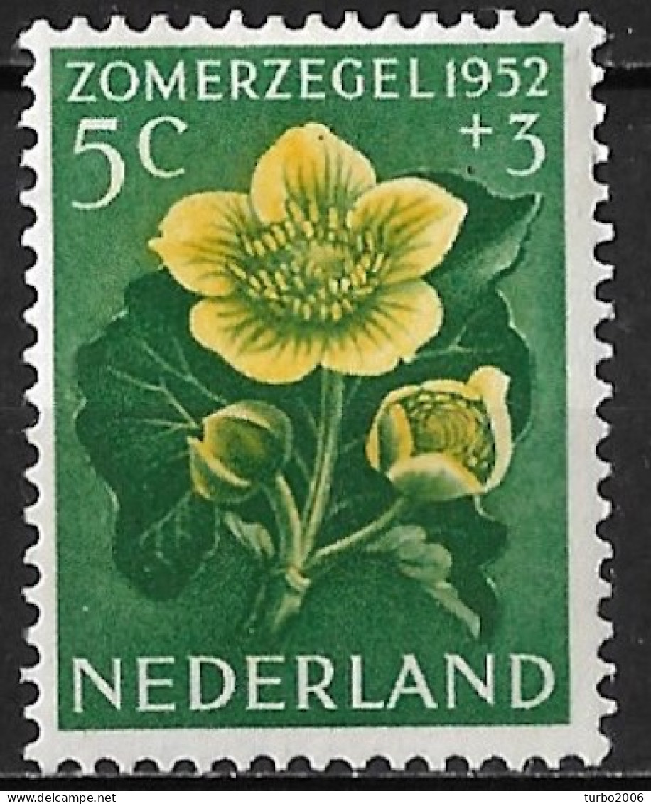 Plaatfout Groen Puntje In Het Bovenste Bloemblad 1952 Zomerzegels Bloemen 5 + 3 Ct Groen / Geel NVPH 584 PM Ongestempeld - Errors & Oddities