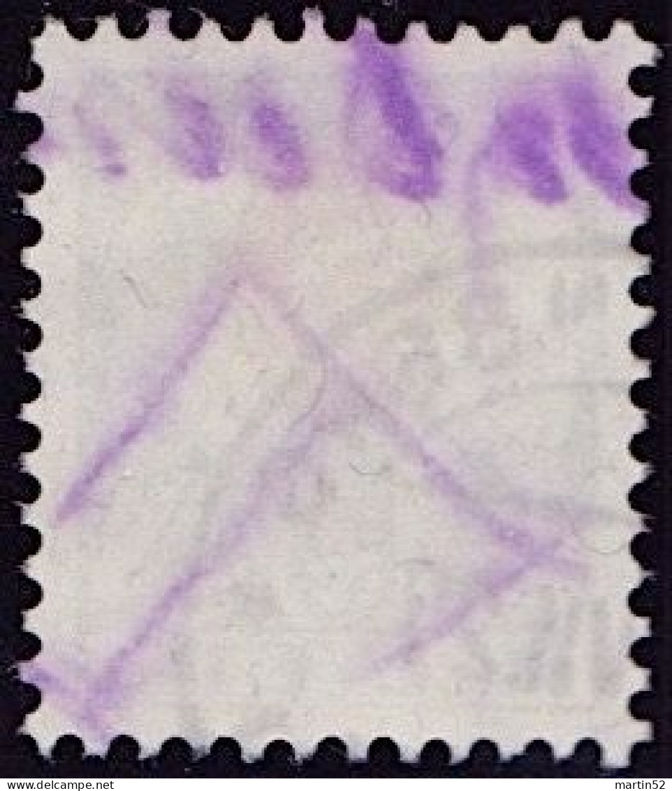 Liechtenstein 1927: Portomarke Schweiz Zu+Mi N° 42 Mit Stempel TRIESENBERG ?.VII.27 (LBK CHF 20.00) - Taxe