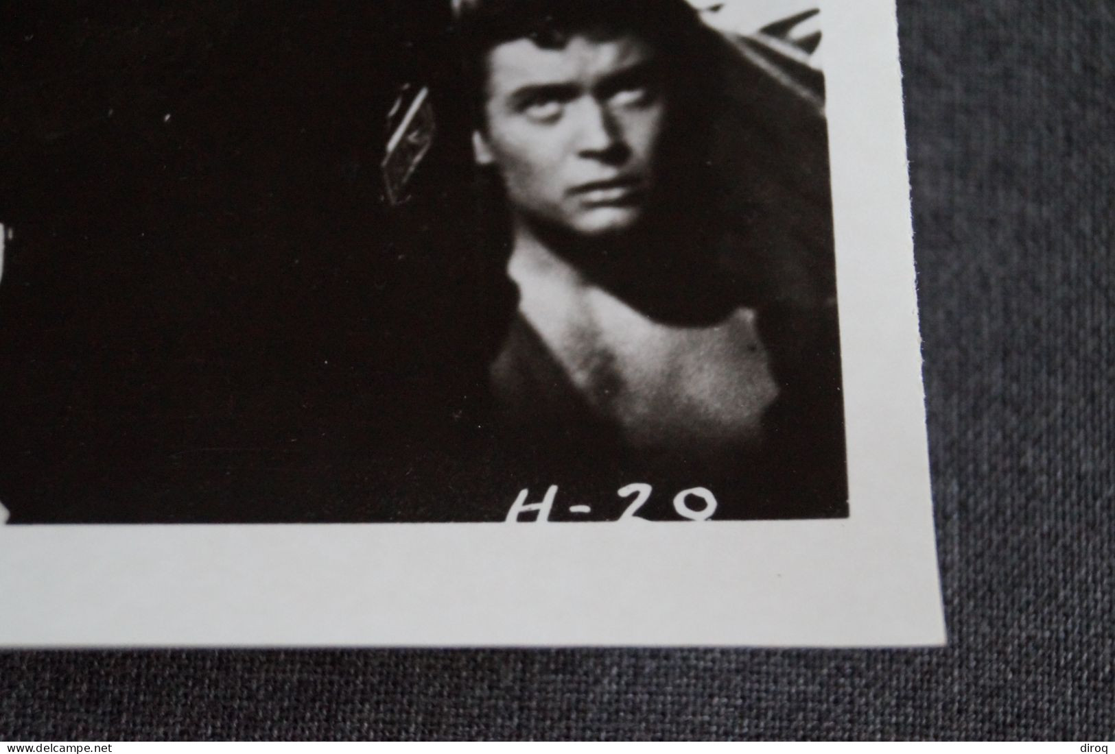 RARE,Steve Reeves, Grande Photo Originale Pour Le Cinéma,25,5 Cm. Sur 20,5 Cm. - Photos